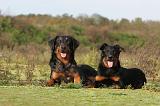 BEAUCERON 386